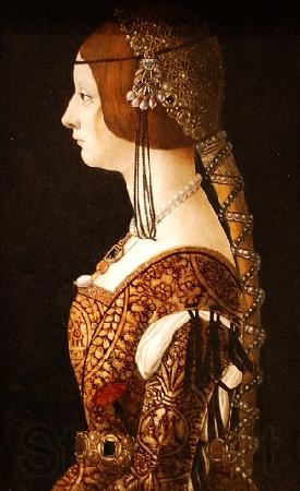 FIGINO, Giovanni Ambrogio Blanca Maria Sforza Norge oil painting art